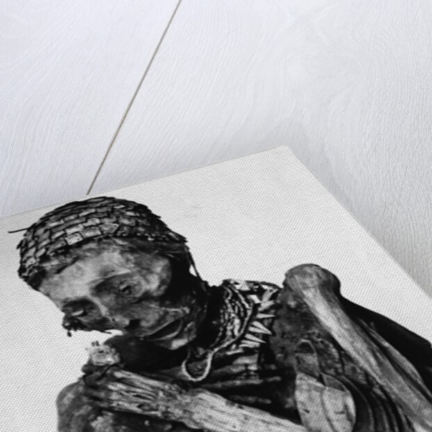 Incan Mummy by Anonymous