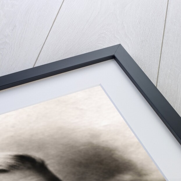 Portrait of Kamehameha the Great by Anonymous