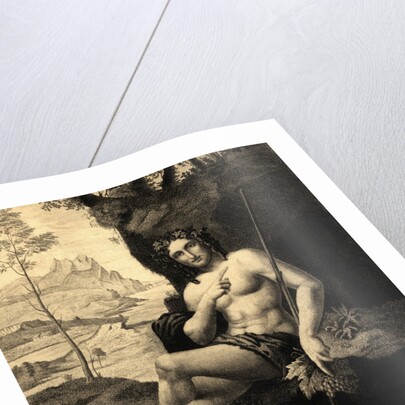 Illustrated Portrait of Bacchus by Anonymous
