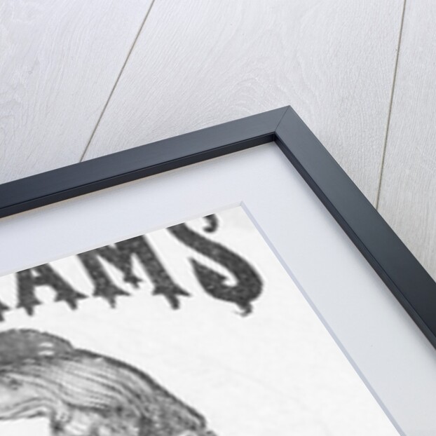 Advertisement of Early Medicines Made of Compounds by Anonymous