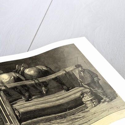 Horses on a Belgian Threshing Machine by Anonymous