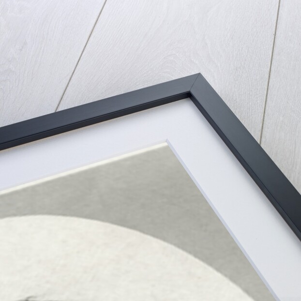 Portrait of Author Edgar Allan Poe by Anonymous