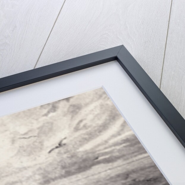 Teutone Soldiers Gathered on Shore by Anonymous