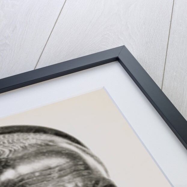 Statue of Julius Caesar by Anonymous