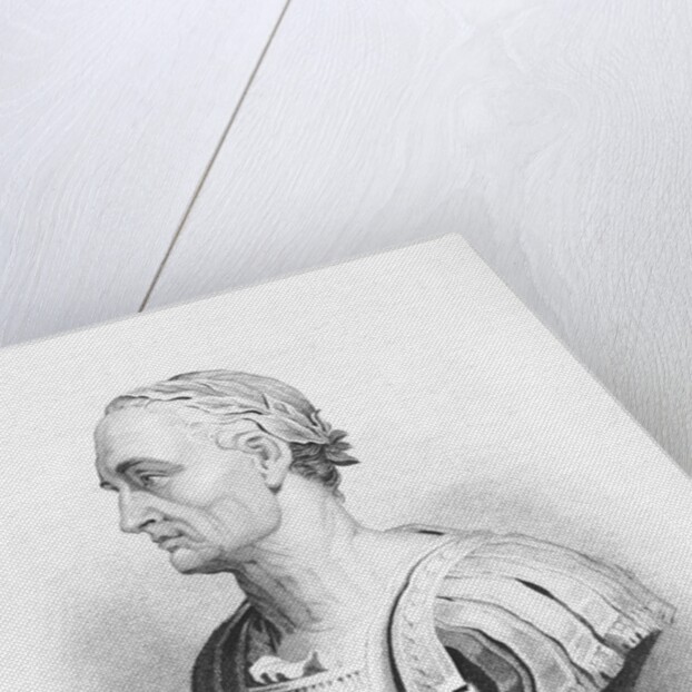 Bust of Julius Caesar by Anonymous