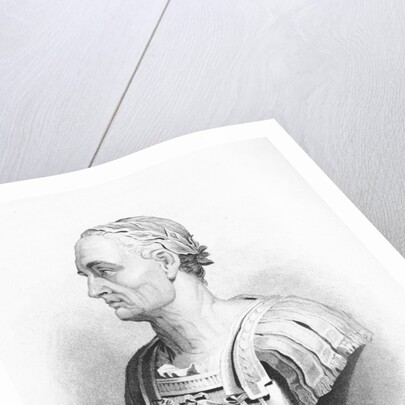 Bust of Julius Caesar by Anonymous