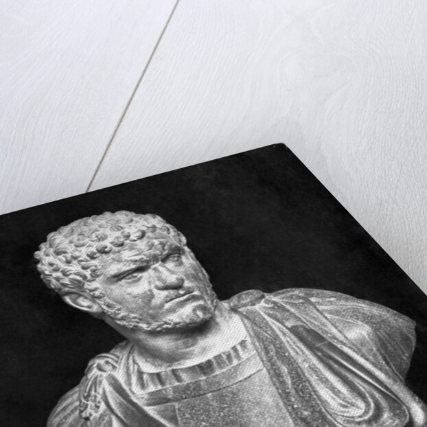 Imperial Roman Bust of Emperor Caracalla by Anonymous