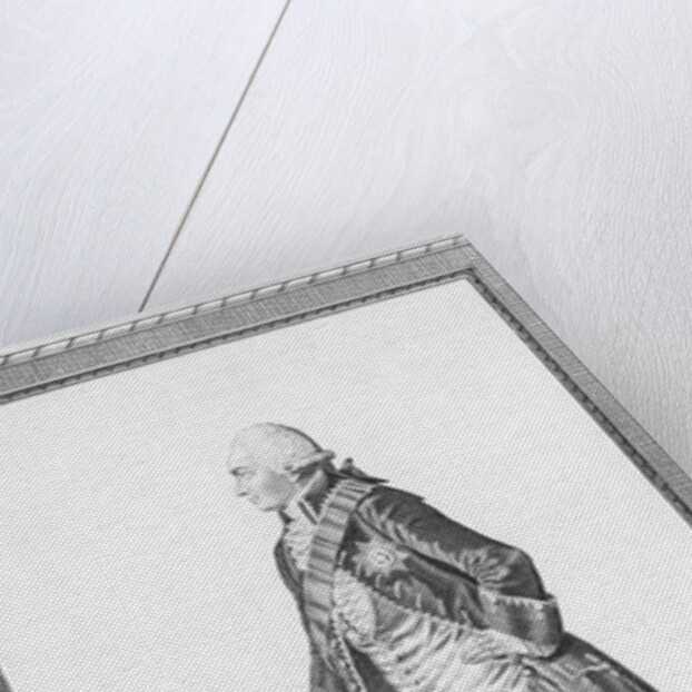 Denmark's King Christian VII by Anonymous