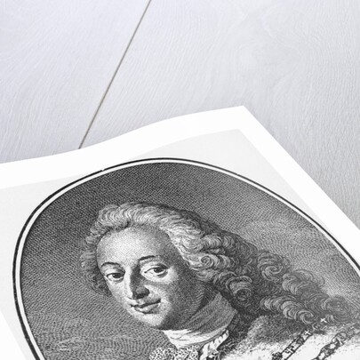 Denmark's King Frederik V by Anonymous