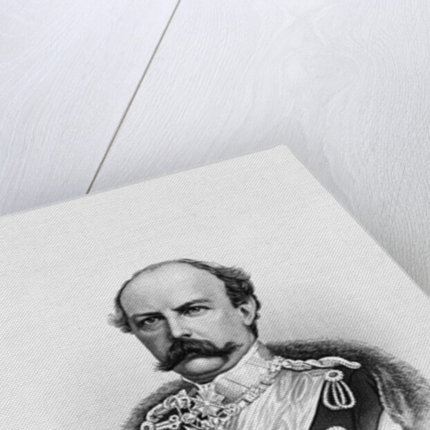 Denmark's King Frederik VIII by Anonymous