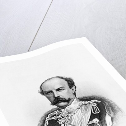 Denmark's King Frederik VIII by Anonymous