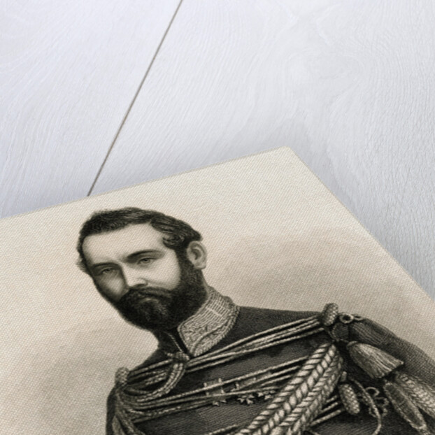 Sweden's King Charles XV by Anonymous
