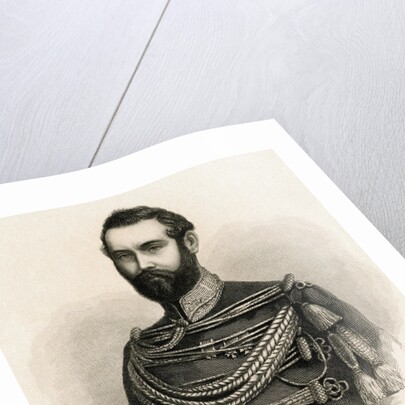 Sweden's King Charles XV by Anonymous