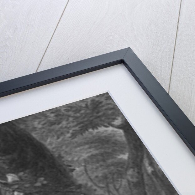 Illustration from Shakespeare's Midsummer Night's Dream by Anonymous