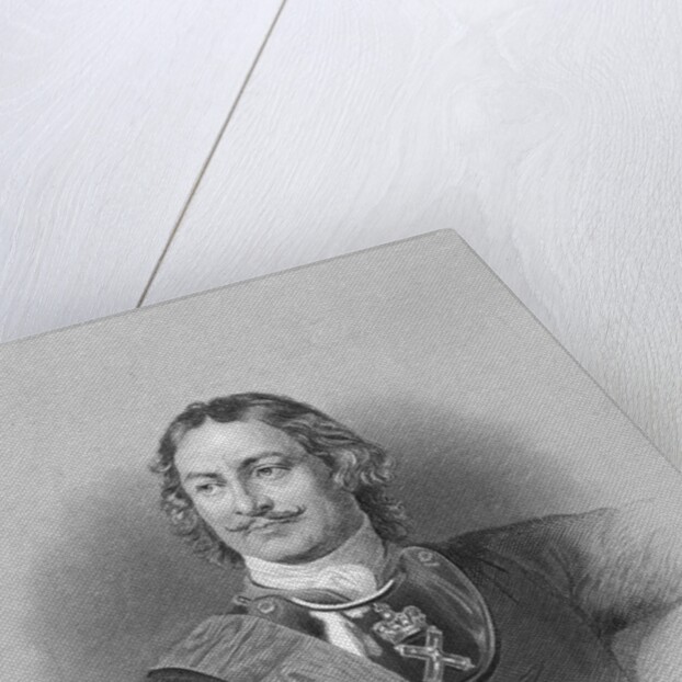 Portrait of Peter the Great by Anonymous