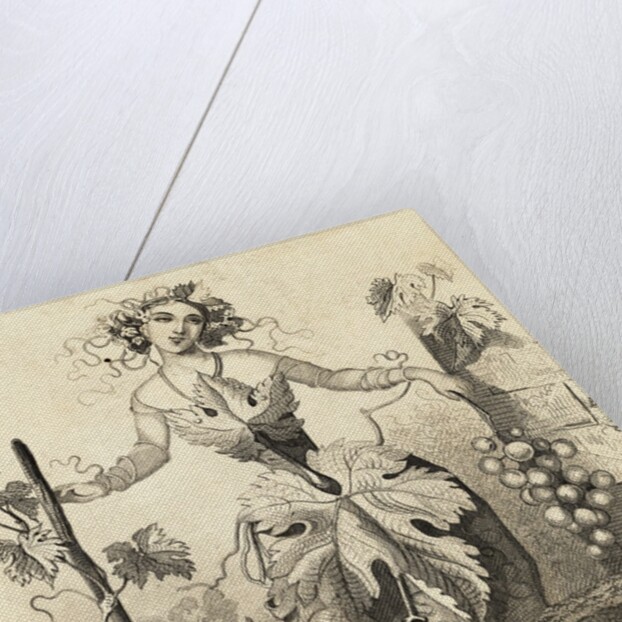 Woman Representing Grape Vine and Wine Making by Anonymous