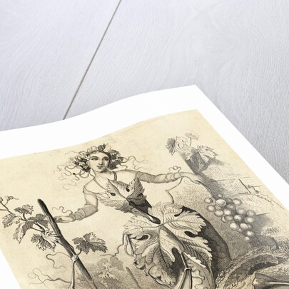Woman Representing Grape Vine and Wine Making by Anonymous