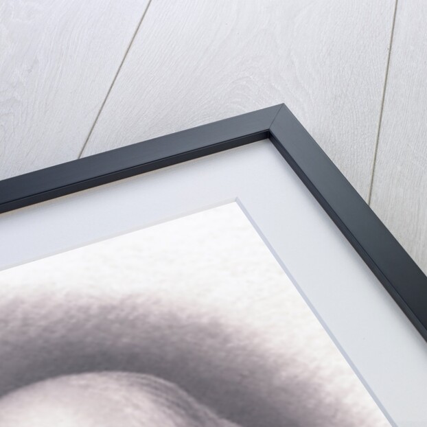 Revolutionary Christopher Gadsden by Anonymous