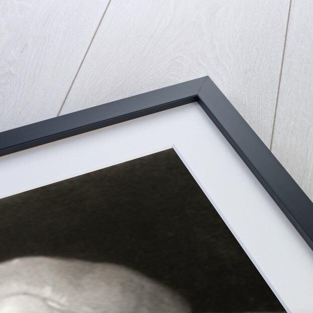 Samuel Johnson Reading Book by Anonymous