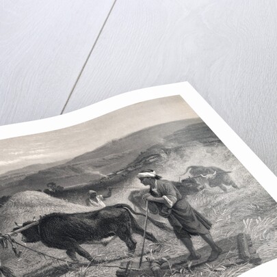 Western Asian Field Workers Threshing Crops with Use of Oxen by Anonymous