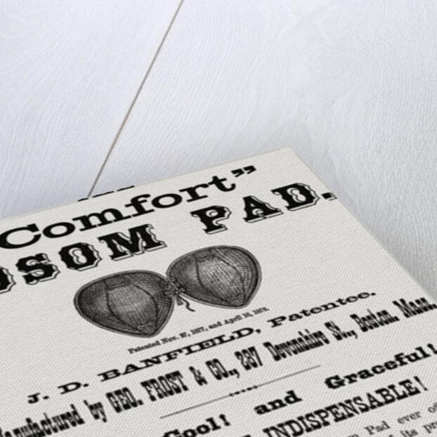 Illustration Showing Early Designed Bosom Pad by Anonymous