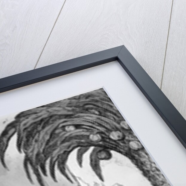 Francisco Pizzaro Gloating Over Gold by Anonymous