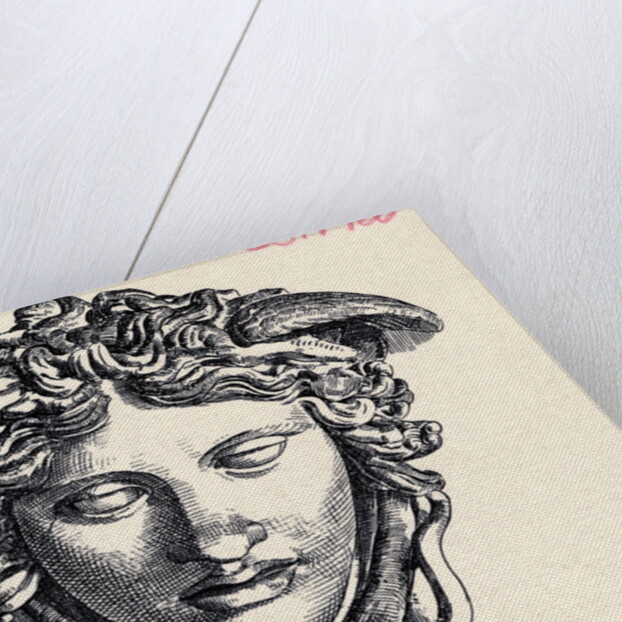 Illustration of Head of Medusa by Anonymous