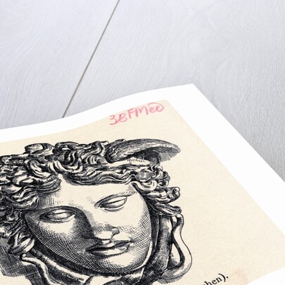 Illustration of Head of Medusa by Anonymous
