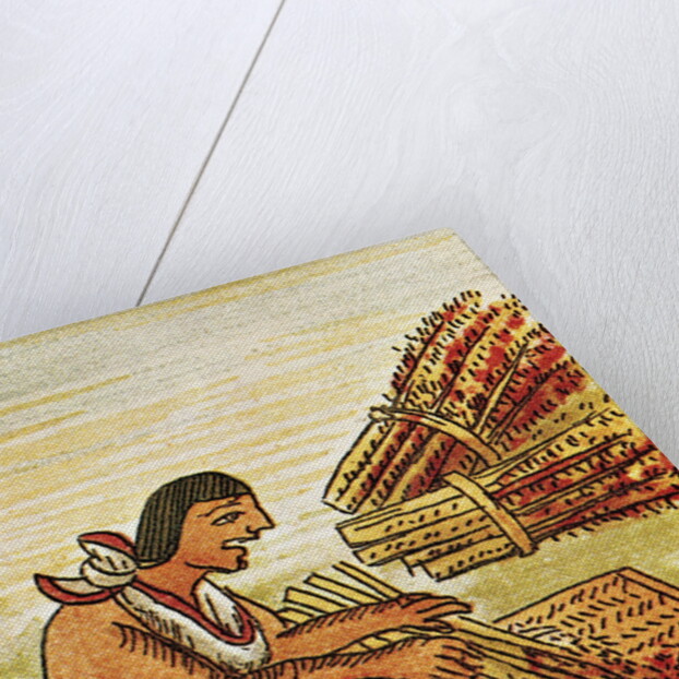 Illustration of an Aztec Man Threshing Amaranth from the Florentine Codex by Anonymous