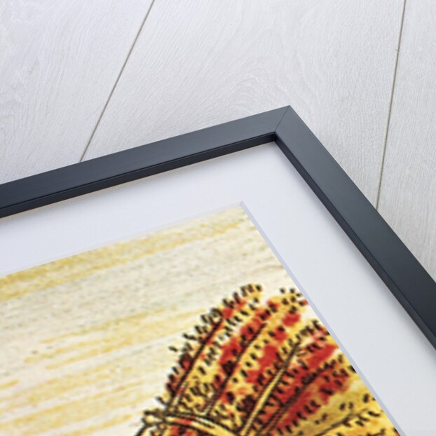 Illustration of an Aztec Man Threshing Amaranth from the Florentine Codex by Anonymous