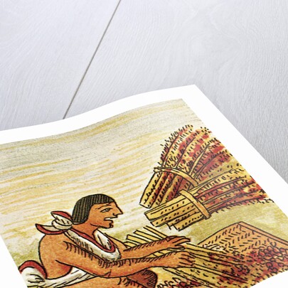 Illustration of an Aztec Man Threshing Amaranth from the Florentine Codex by Anonymous