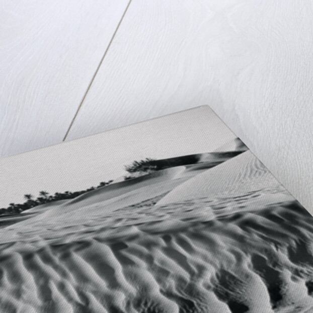 Sand Dunes with Oasis by Anonymous