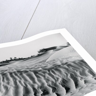 Sand Dunes with Oasis by Anonymous