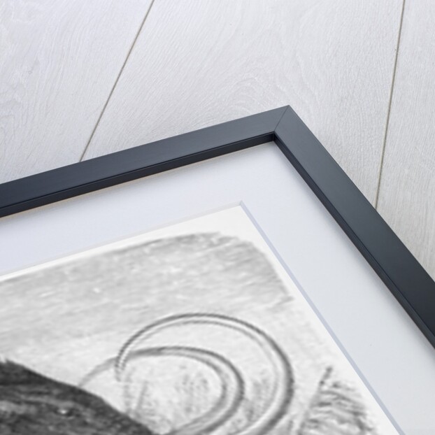 Woolly Mammoth by Anonymous