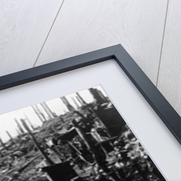 French Forest Destroyed in WWI by Anonymous