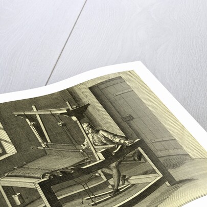 Cotton Weaver by Anonymous