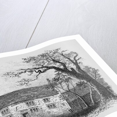 Woolsthorpe House by Anonymous
