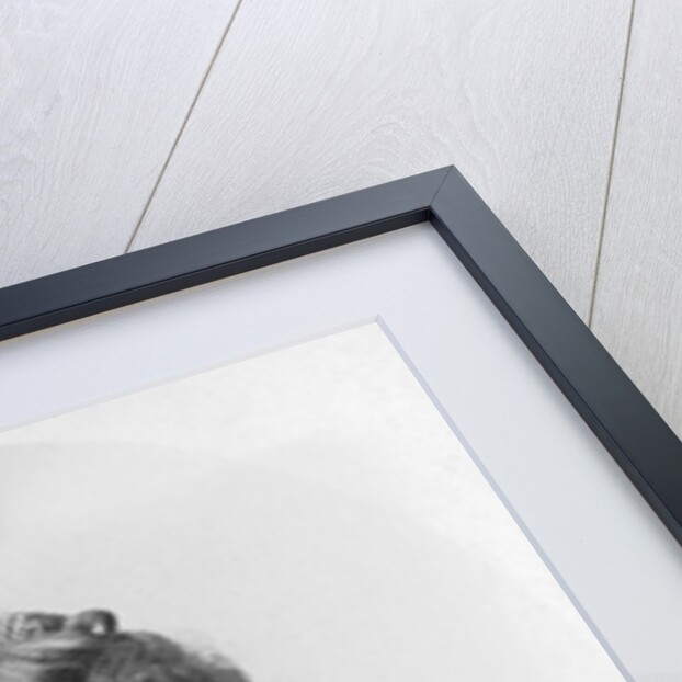 Portrait of Elsie de Wolfe by Anonymous