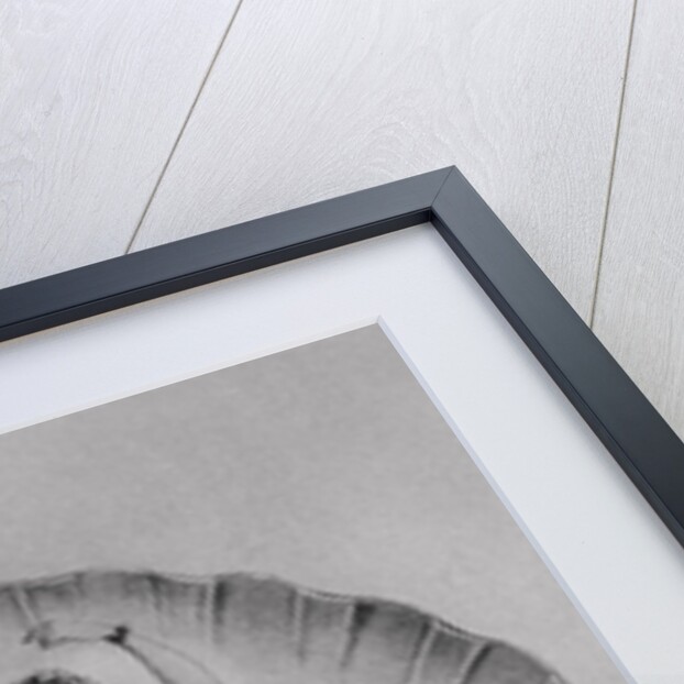 Drawing Depicting Ballerina on Beautiful Setting by Anonymous