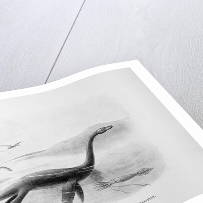 Long-Necked Sea Lizard by Anonymous