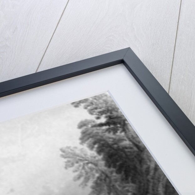 Schuylkill Water Works by William Henry Bartlett