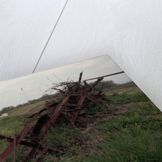 Tangle of Barbed Wire and War Memorial by Anonymous