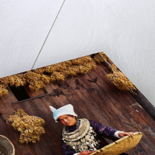 Miao Woman and Drying Produce by Anonymous