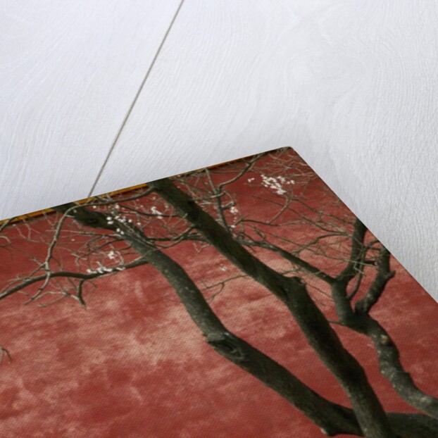 Flowering Pear Tree by Anonymous