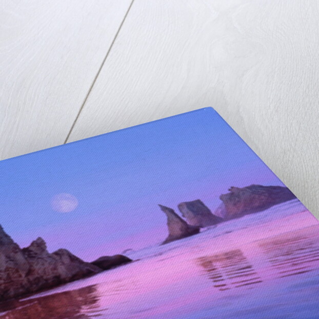 Sea Stacks and Beach by Anonymous
