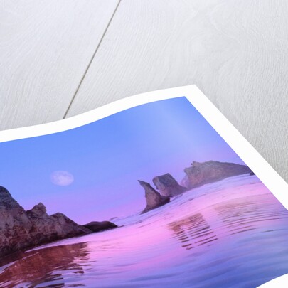 Sea Stacks and Beach by Anonymous