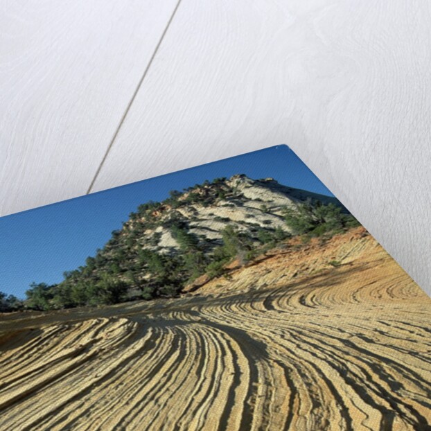 Layers of Navajo Sandstone in Zion National Park by Anonymous