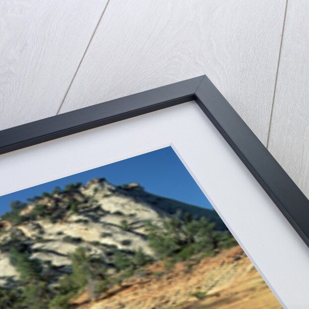 Layers of Navajo Sandstone in Zion National Park by Anonymous