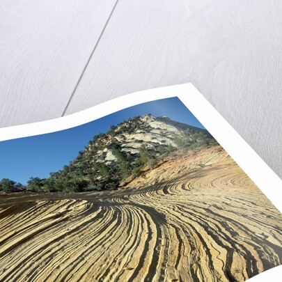 Layers of Navajo Sandstone in Zion National Park by Anonymous