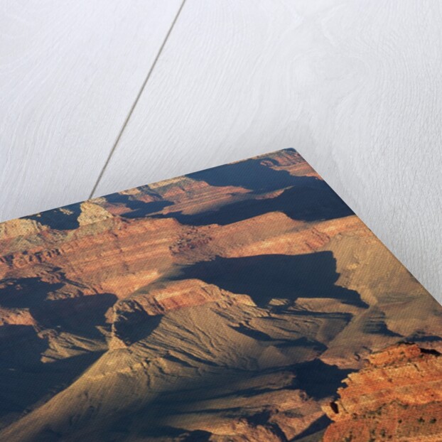 O'Neil Butte in the Grand Canyon by Anonymous